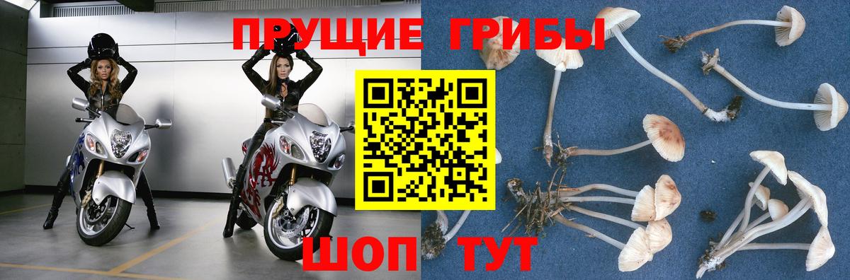 Галлюциногенные грибы мухоморы  Галлюциногенные грибы Cubensis  Смоленск  Вход с VPN 